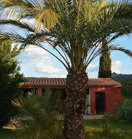 Ferienwohnung L'Albaida, Tranquility, Views Of Sea And Mountains Vilanova de Escornalbou Exterior foto