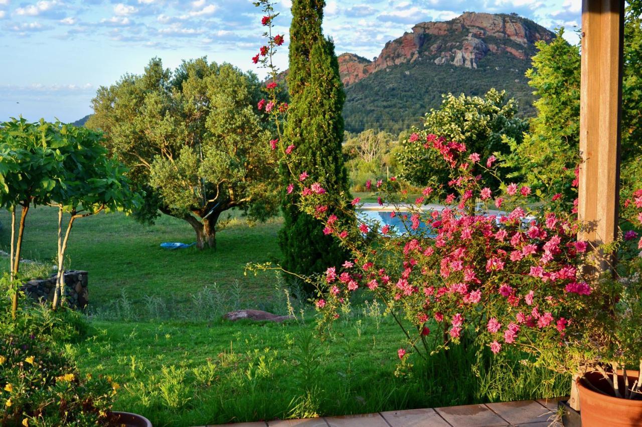 L'albaida, Tranquility, Views Of Sea And Mountains Apartment *