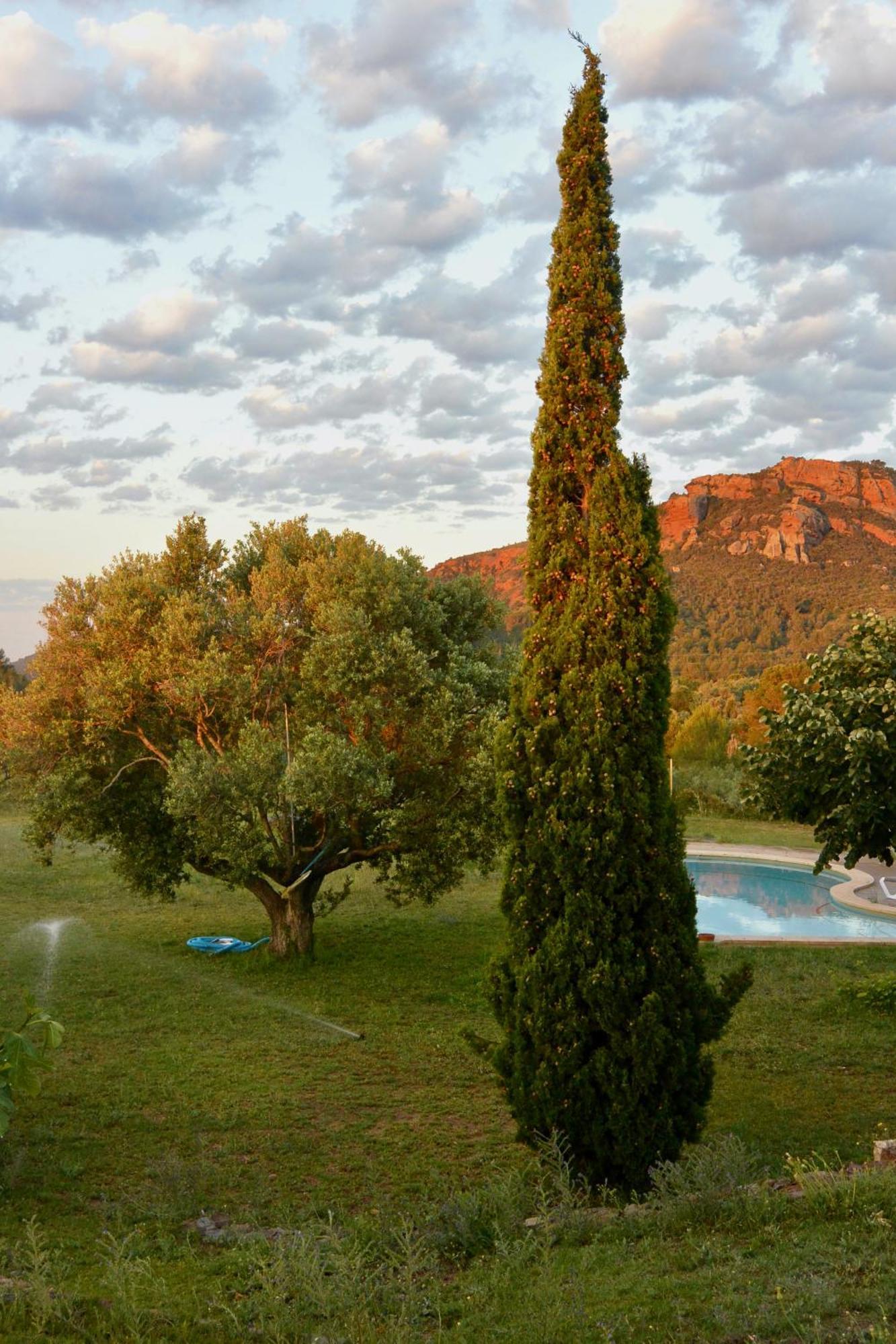 Apartment L'albaida, Tranquility, Views Of Sea And Mountains Vilanova de Escornalbou
