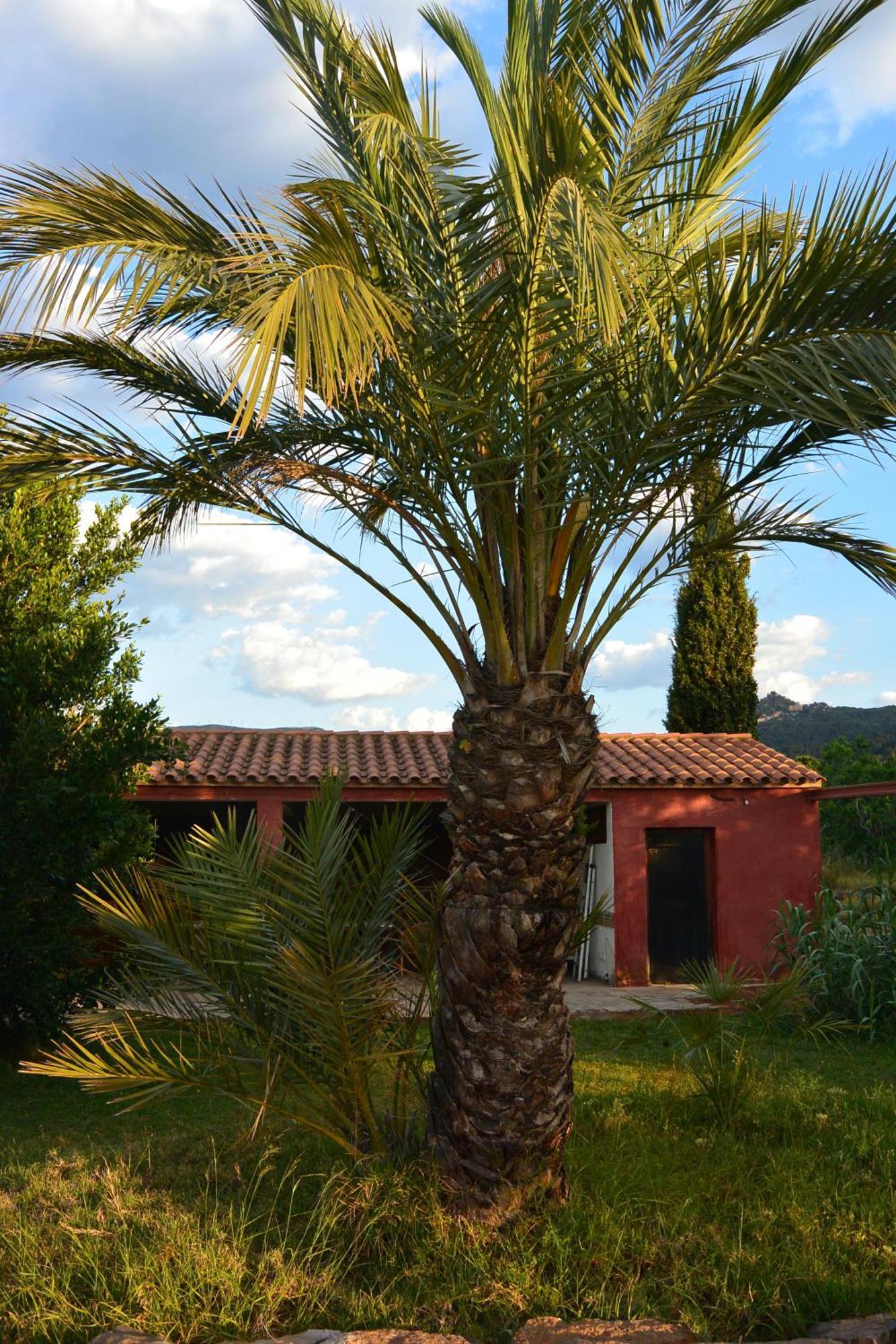 L'albaida, Tranquility, Views Of Sea And Mountains *