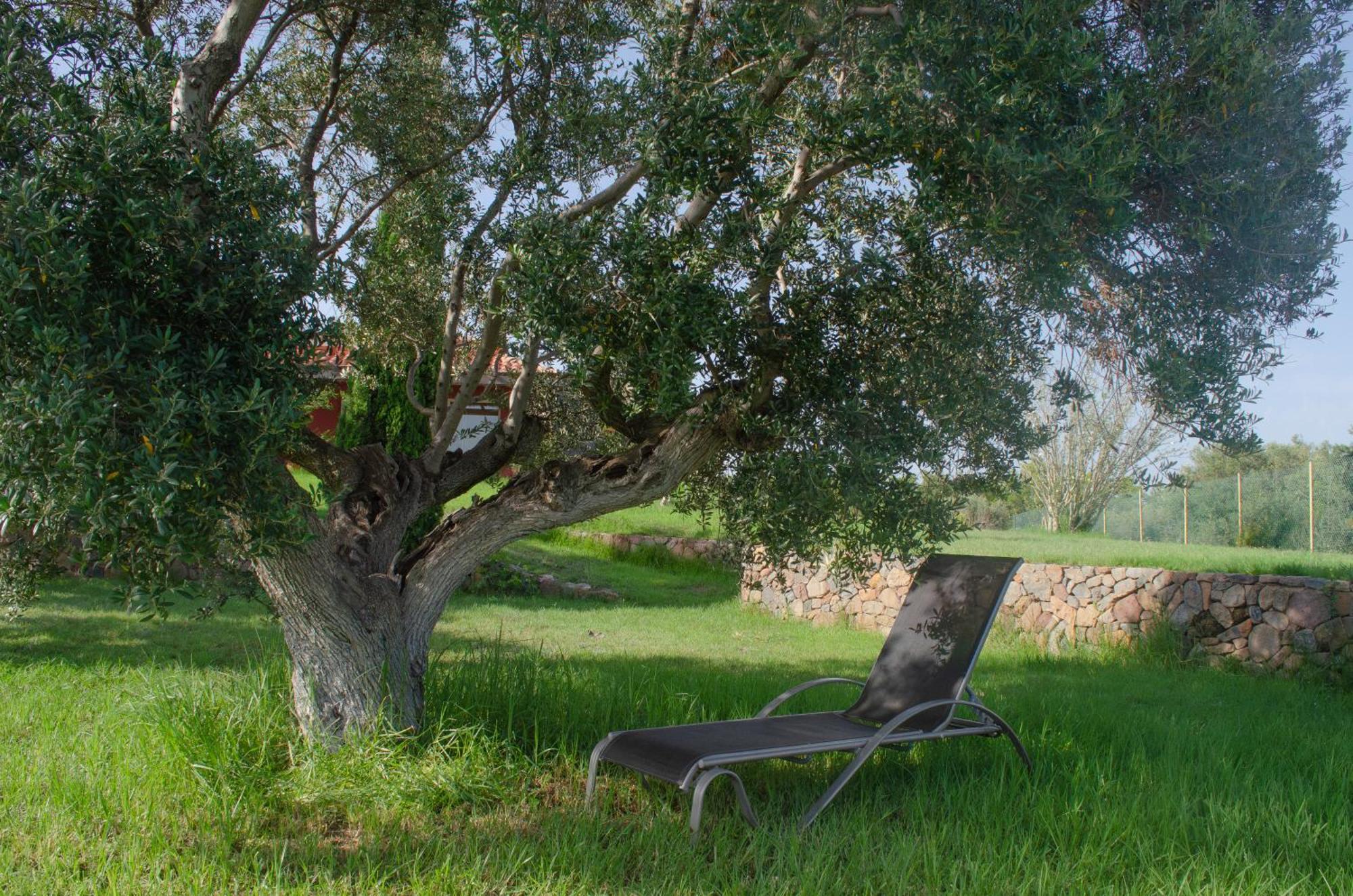 L'albaida, Tranquility, Views Of Sea And Mountains Vilanova de Escornalbou