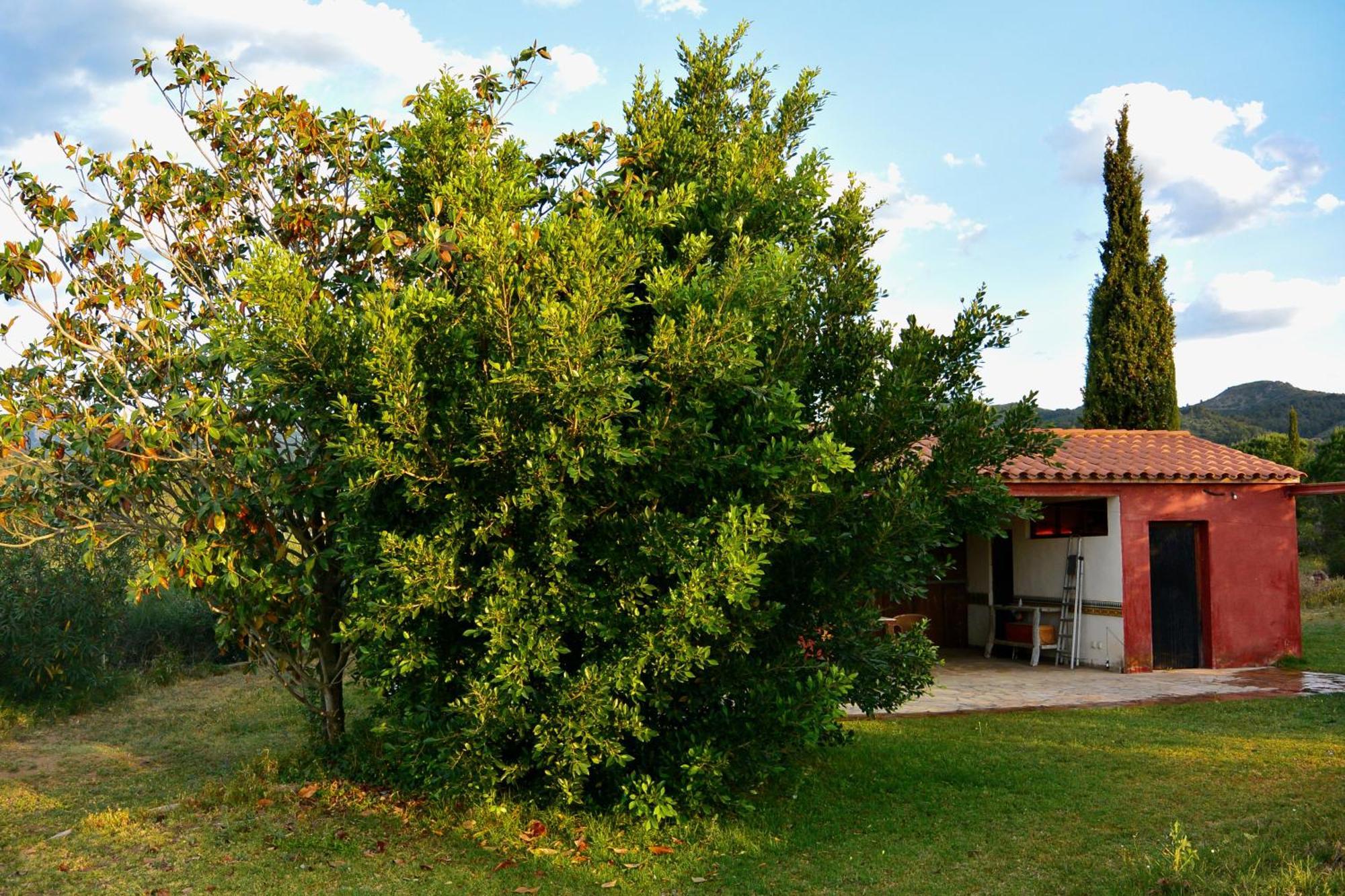 Apartament L'albaida, Tranquility, Views Of Sea And Mountains Vilanova de Escornalbou